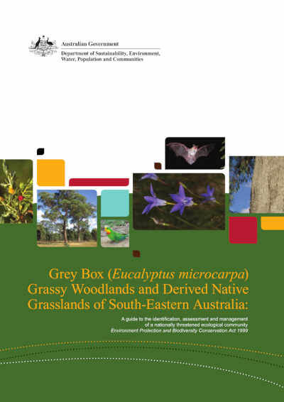 grey-box-booklet screenshot